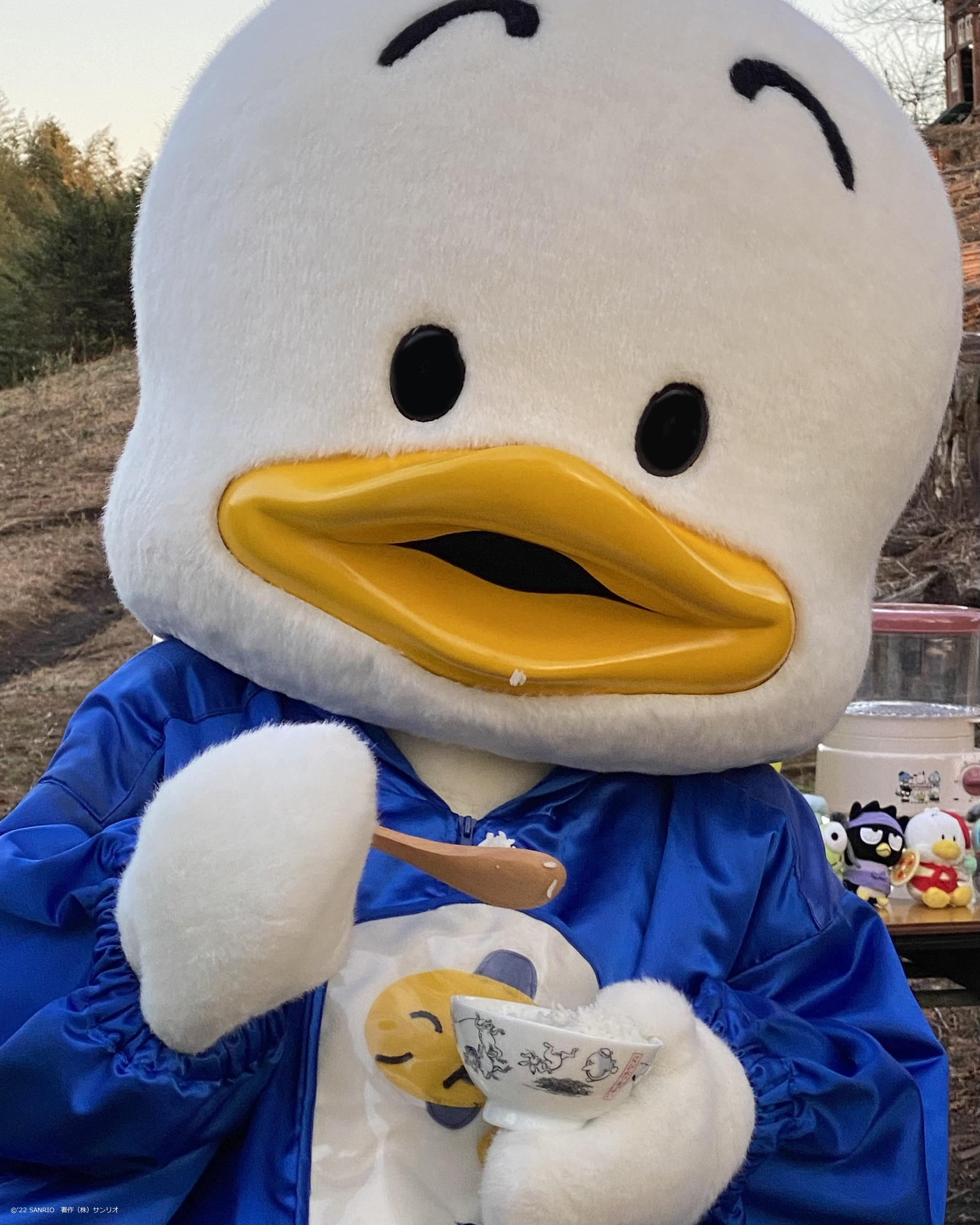 はぴだんぶい　フードスチーマー　くじ はぴだんぶい フードスチーマー くじ はぴだんぶい フードスチーマー くじ