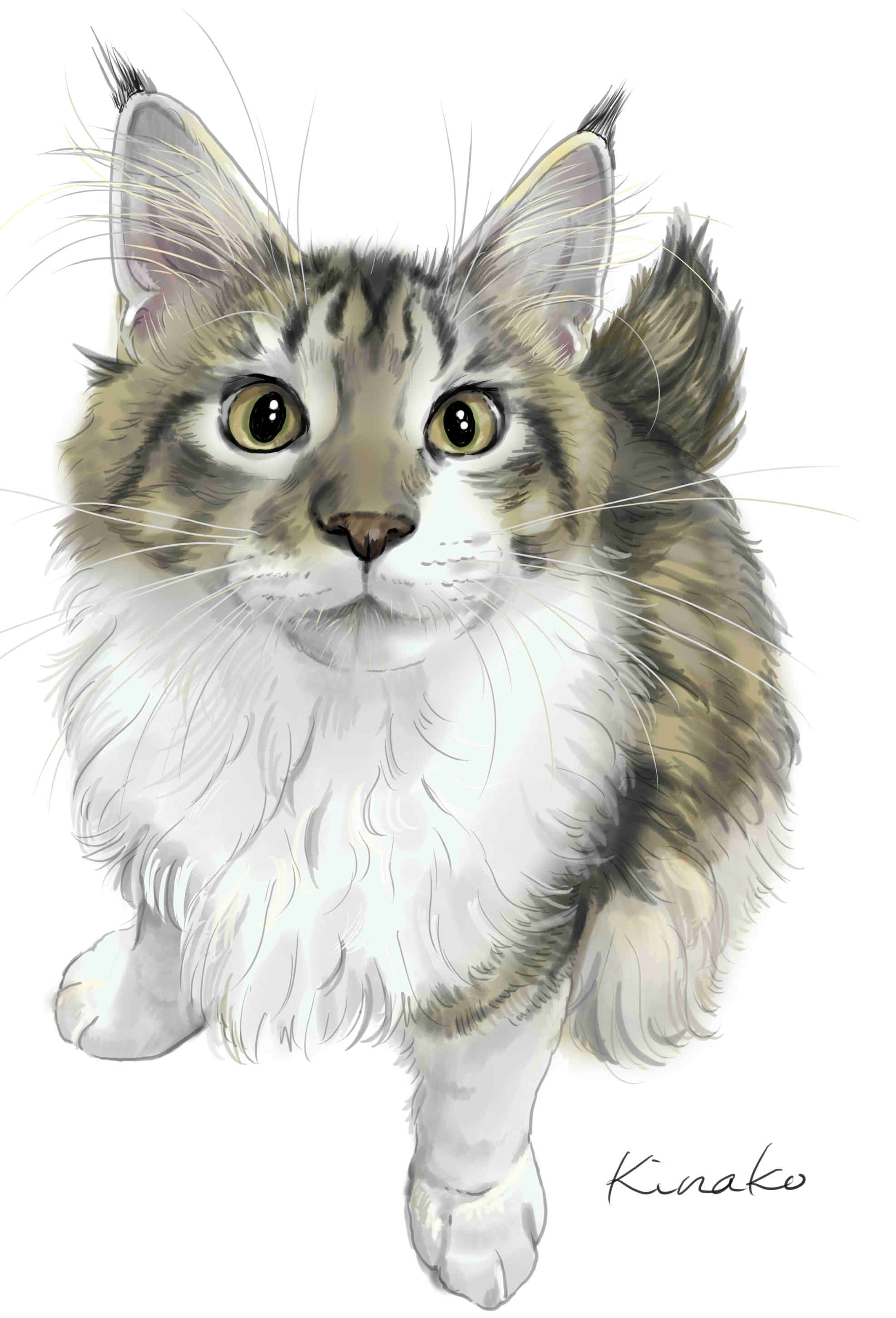 きなこ 猫の絵を描いています 91rudo Twitter
