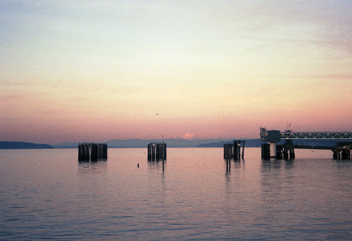 _dgezp's tweet photo. posting on his behalf bc my bf isn’t part of photo twitter but here are a few photos from his first roll of film 🎞 proud gf moment https://t.co/Hf6xeUX1RS
