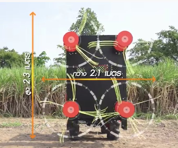 サトウキビのtwitterイラスト検索結果
