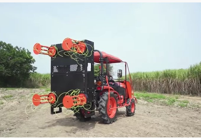 サトウキビのtwitterイラスト検索結果