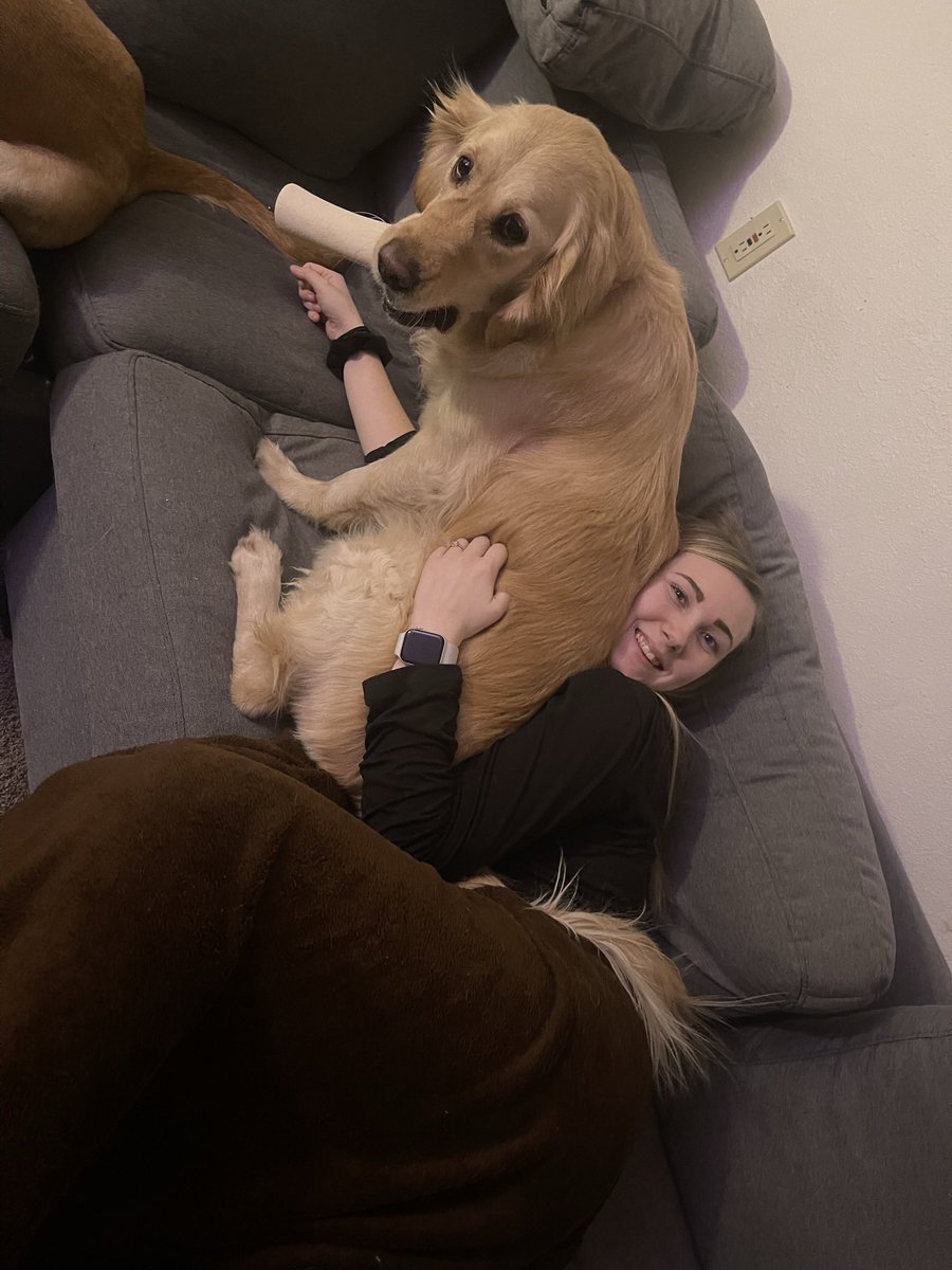 Holly_workman_'s tweet photo. You can’t tell me I don’t have the cutest little family🥺💕 https://t.co/Nxtb0Vwy8c
