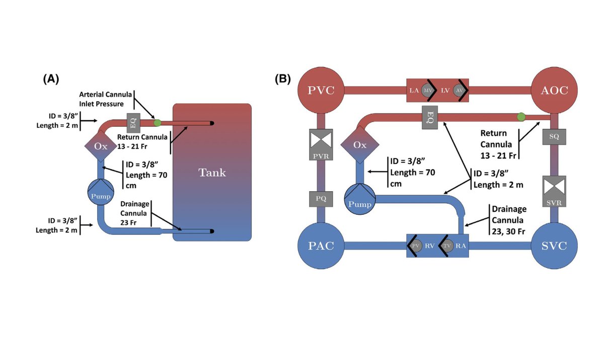 Artificial Organs (@artiforgans) on Twitter photo #Hemodynamics of small #Arterial #ReturnCannulae for #Venoarterial #ECMO👇
bit.ly/3gkxLcX
<a href="/MonashUni/">Monash University</a>🇦🇺| <a href="/TheRMH/">The Royal Melbourne Hospital</a>🇦🇺| <a href="/AndrewFStephens/">Andrew Stephens</a> <a href="/AidanBurrell/">Aidan Burrell</a> <a href="/BellomoRinaldo/">Rinaldo Bellomo</a> <a href="/DrShaunGregory/">Shaun Gregory</a> #Bleeding #ECPR #Ischemia #VascularInjury #Hemodynamics of small #Arterial #ReturnCannulae for #Venoarterial #ECMO👇
bit.ly/3gkxLcX
<a href="/MonashUni/">Monash University</a>🇦🇺| <a href="/TheRMH/">The Royal Melbourne Hospital</a>🇦🇺| <a href="/AndrewFStephens/">Andrew Stephens</a> <a href="/AidanBurrell/">Aidan Burrell</a> <a href="/BellomoRinaldo/">Rinaldo Bellomo</a> <a href="/DrShaunGregory/">Shaun Gregory</a> #Bleeding #ECPR #Ischemia #VascularInjury