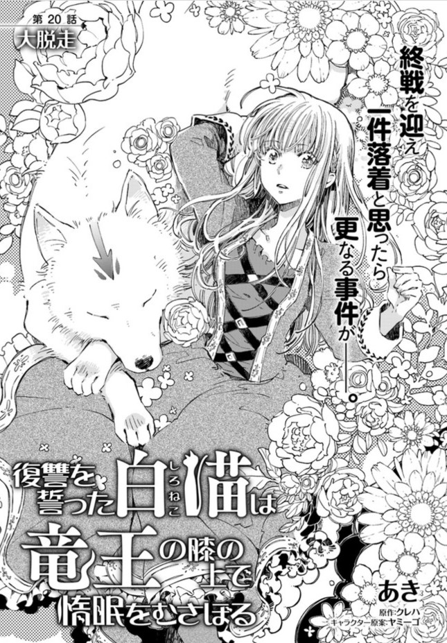 ねこのすけ様確認ページ ねこのすけ様確認ページ