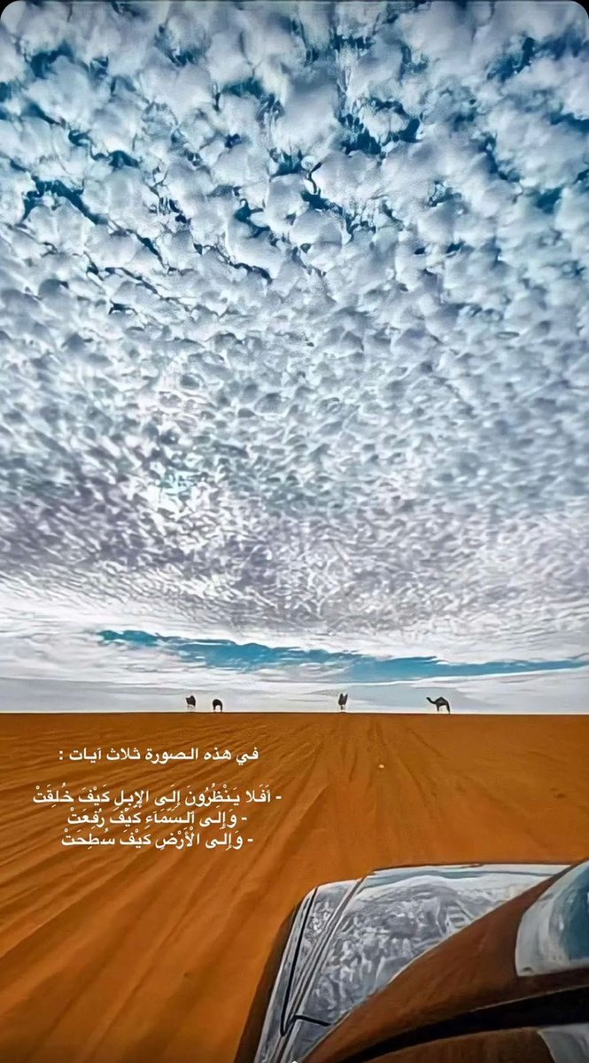 HumaidUAE2's tweet image. 