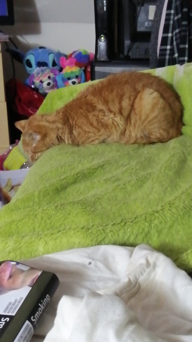 Courtney Abbott tweet media