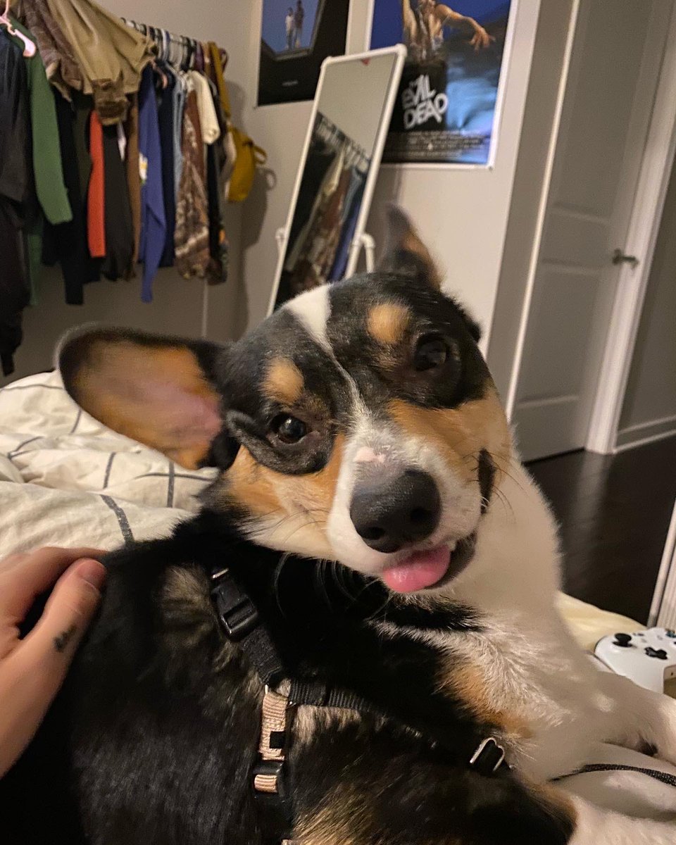 silly face toast