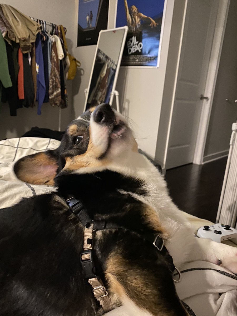 silly face toast pt 2