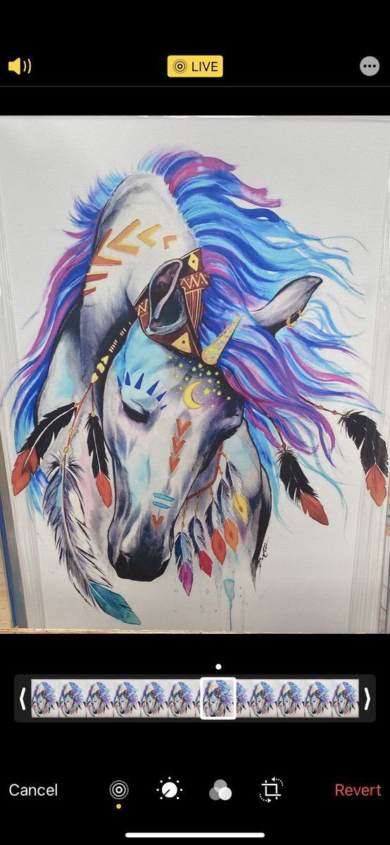 continuum99's tweet photo. If my @zed_run horse could have a custom skin like this… everyone would be jealous!! 🏇🔥🏆 #nft #nfthorse #zedrun https://t.co/jjHUigBno8