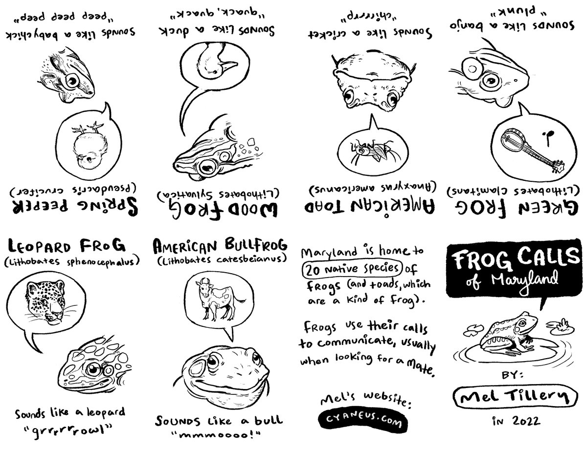 frog #zine? frog zine.