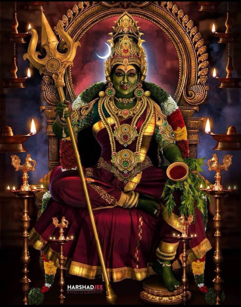 8177sonali's tweet photo. ॐ जयंती मंगला काली भद्रकाली कपालिनी।
दुर्गा क्षमा शिवा धात्री स्वाहा स्वधा नमोऽस्तु‍ते ।

Maa, her Smile lights up the Entire Cosmos..❤

#जय_मां_भवानी 🙏🌺🚩 https://t.co/DBZpHVJUPo
