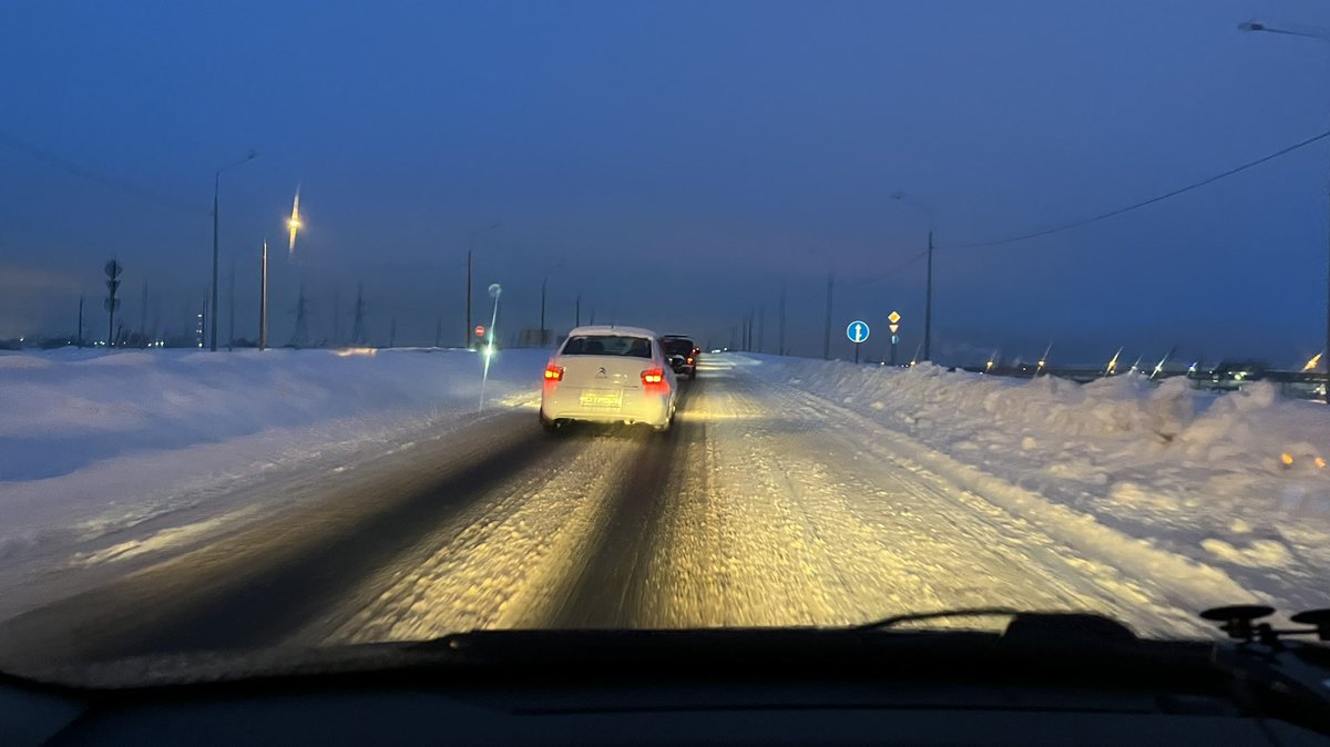 Полли tweet media