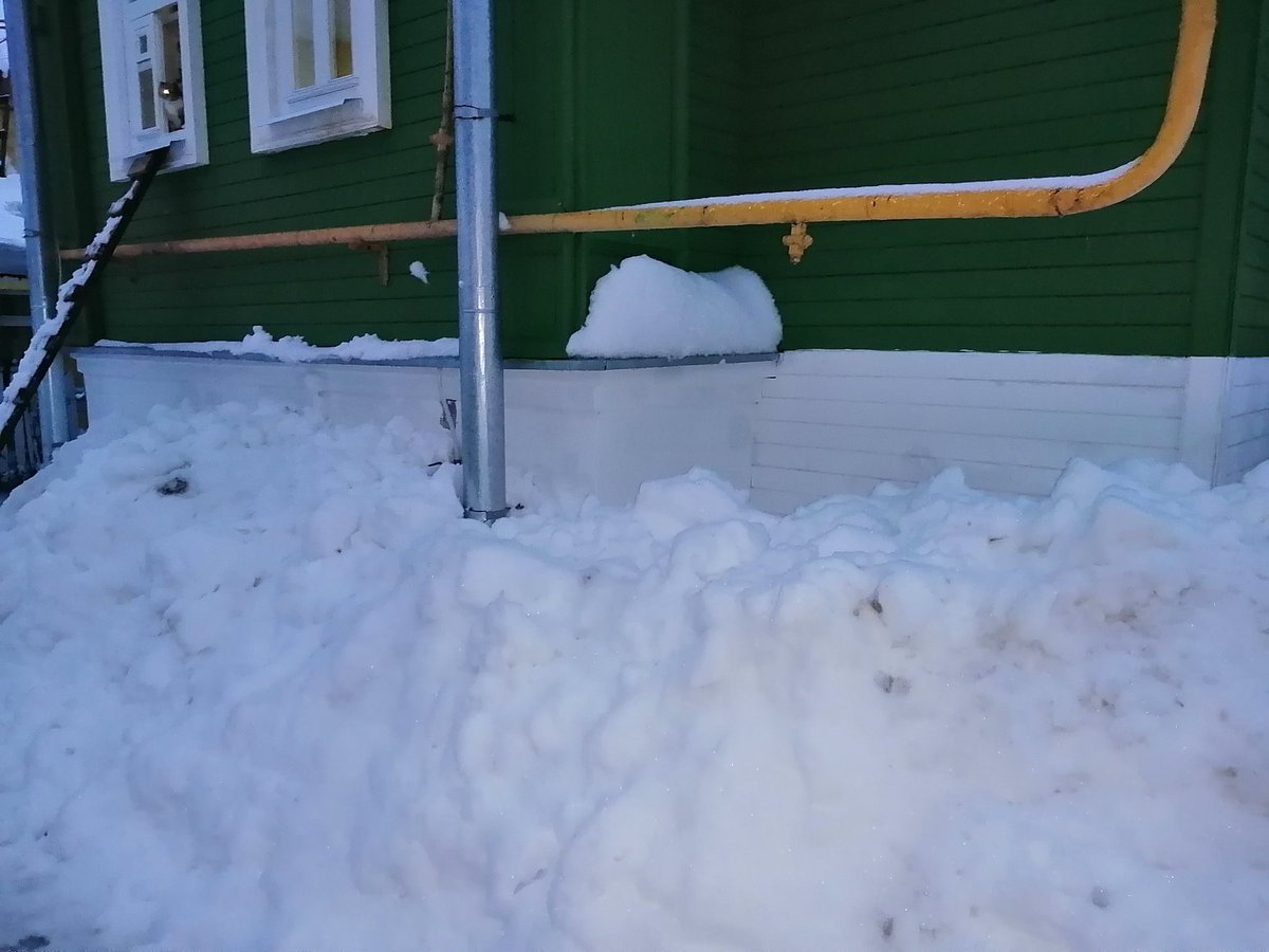 Наталья tweet media