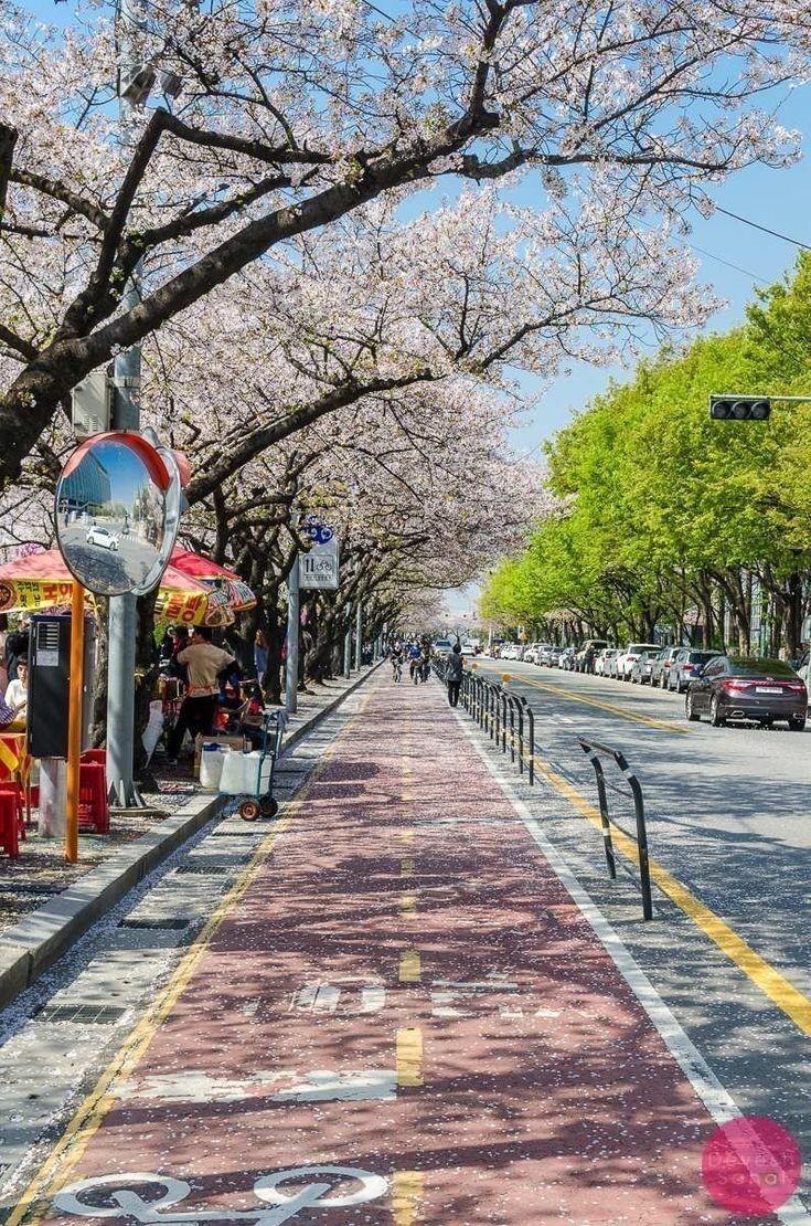 andii_rvs's tweet photo. Una de las modalidades del turismo que más me gustaría poder llevar a cabo en un futuro es el turismo cultural, más que nada en Corea del Sur, siempre me ha llamado muchísimo la atención su cultura y lo relacionado 💓 
#ociocucsur @veronicaverus08 https://t.co/JnAHvL4H6u