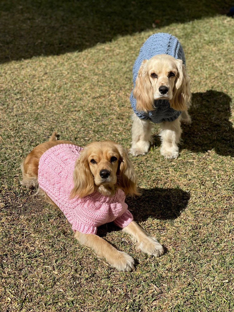 alexrpc_NFT 🔮 tweet media