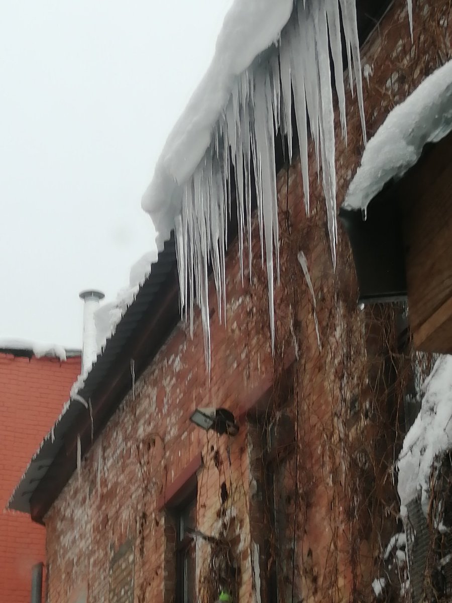 Екатерина Ступникова tweet media