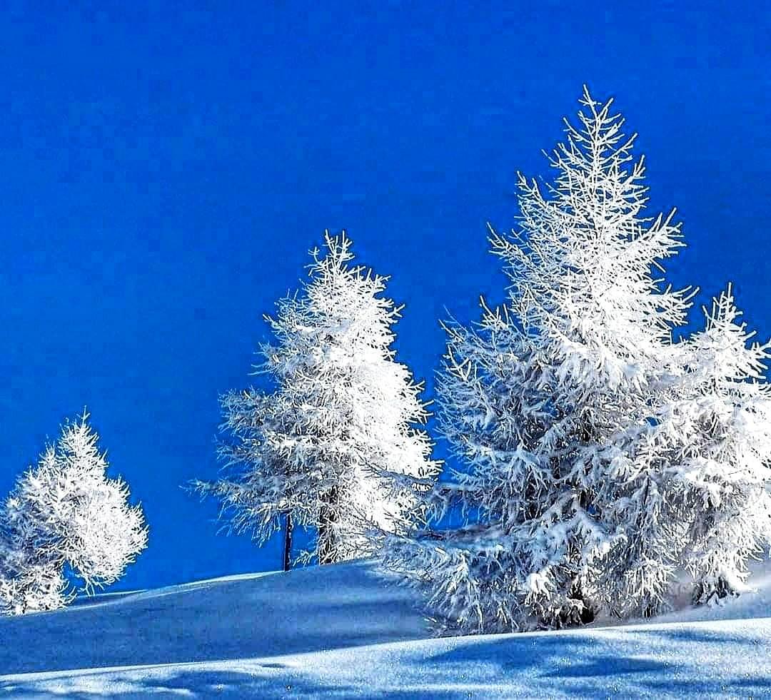 Зимнее чудо. Как называется песня снег и елки ледяные. Стих снег и елки ледяные горки. Зимняя природа. Кристаллы снега.