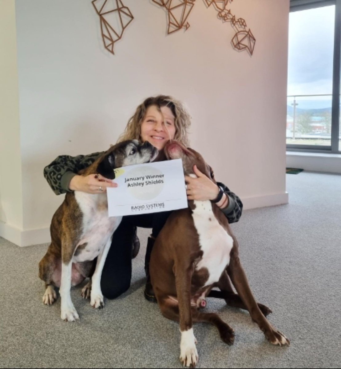 Radio Systems Corporation tweet media