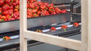 zomer60's tweet photo. Er zullen vandaag best wel weer wat stoplichten voorbij gaan in onze loods #paprika #roodgroengeel #stoplichten #agf #vers #europeretailpacking #Poeldijk #ABCWestland #verpakjeal https://t.co/gv9TuBVauD