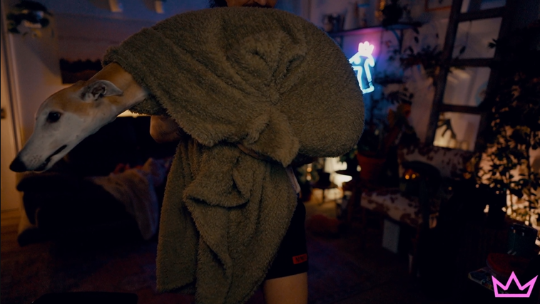 The Nasty Files📁 tweet media