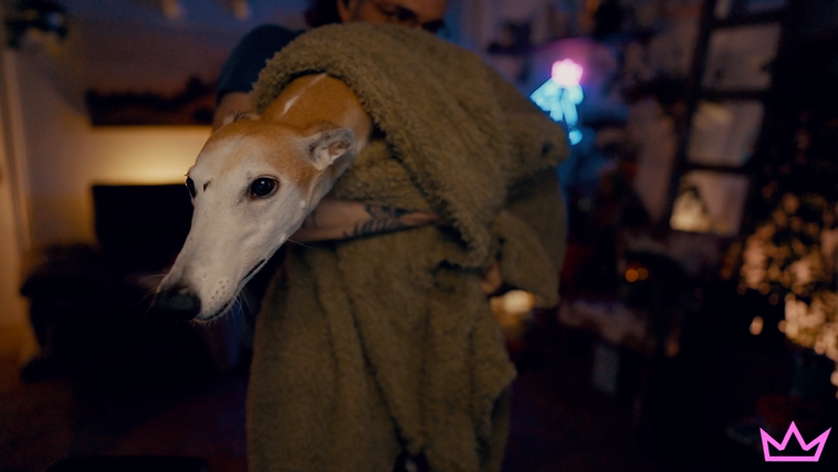 The Nasty Files📁 tweet media