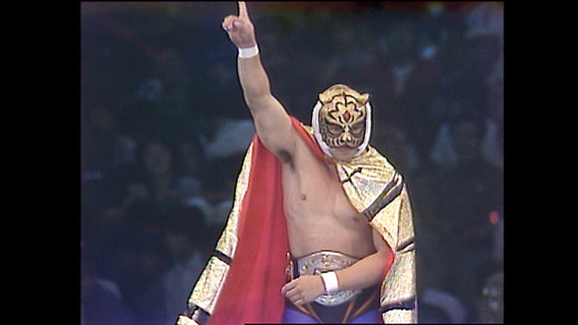 タイガーマスク パルキー １９８３年７月７日 タイプ 初代タイガーマスクパルキー（1983年7月7日 大阪府立体育会館 寺西勇戦