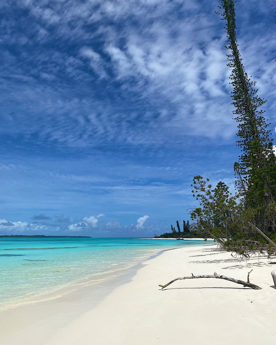 Nouvelle-Caledonie 2022 : Île des pins. 
Une famille en tour du monde 🚀😄
Rejoignez nous sur Instagram 📸 Frenchiesbackpackers 

#noumea #nouméa #nouvellecaledonie #nouvellecalédonie #newcaledonia #famille #newcal  #blogvoyage #tourdumondiste #tourdumonde