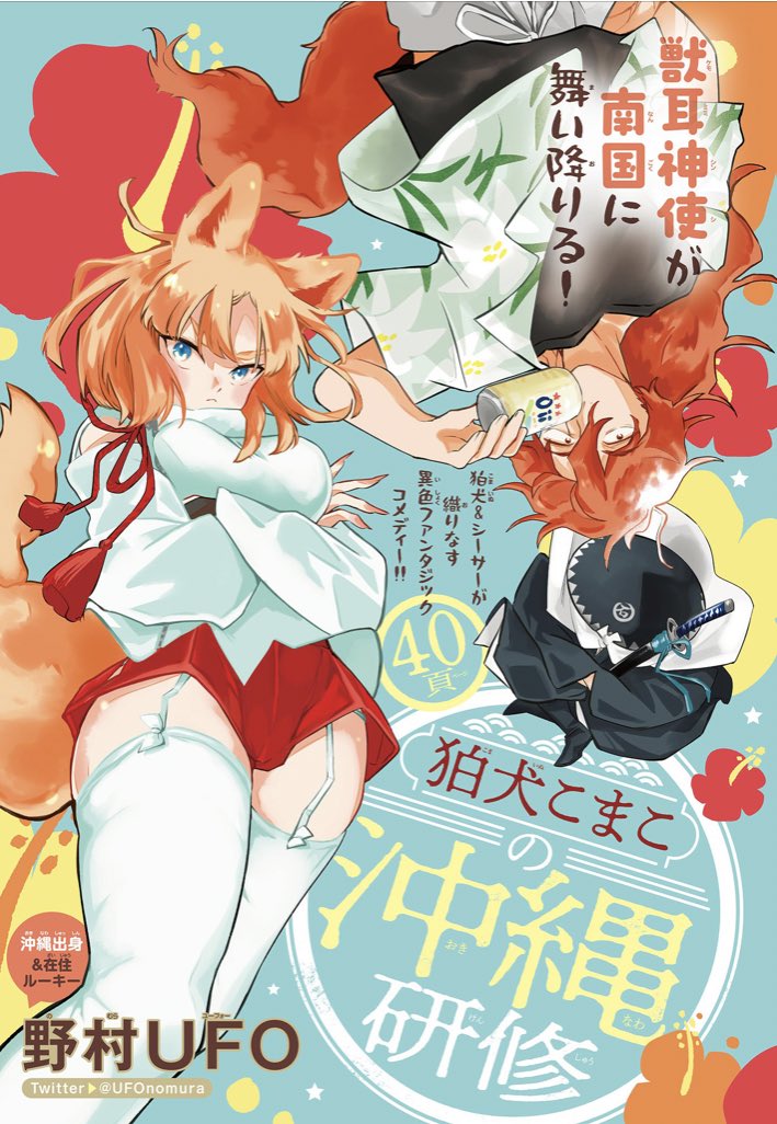 狛犬こまこの沖縄研修 Twitter Search Twitter