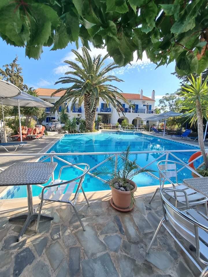 HotelSofia's tweet photo. Summer 2022 is coming!! Book now to be poolside at Hotel Sofia 🌞❤️ https://t.co/WuFkba134a