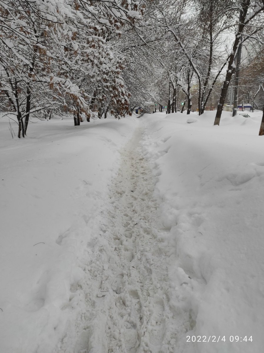 Alexander Osipov tweet media