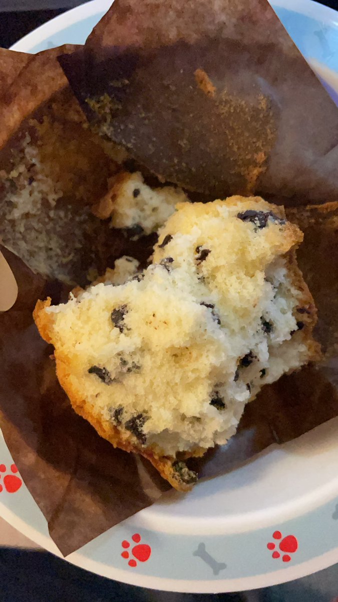 Morning #chocolatecake muffin