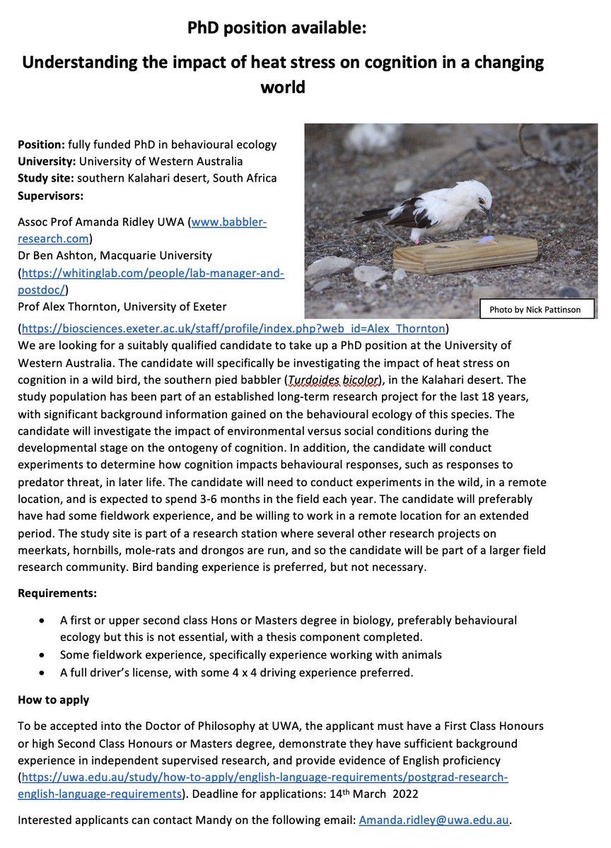 New PhD position available to come work with us on heat stress and cognition in pied babblers in the Kalahari! Please share far and wide! @CornishJackdaws <a href="/Ben_Ashton9/">Ben Ashton</a> <a href="/BiolSci_UWA/">School of Biological Sciences, UWA</a> @CEB_UWA <a href="/_StephanieLKing/">Stephanie L King @stephanielking.bsky.social</a> @freeberg_m <a href="/SimonWTownsend/">Simon W. Townsend</a> <a href="/honeyguide/">Claire Spottiswoode</a> @kiwi_sjc