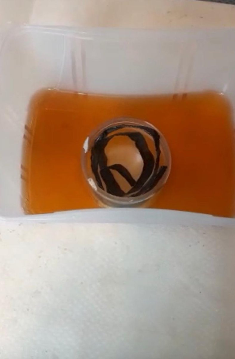 How to make a color!?
Beginning of lead oxidation.Lead carbonate will be formed from this chemical reaction.  Subsequent processing, to be done in absolute safety, will eliminate the acid substances that cause the material to yellow. #art #ArtistOnTwitter