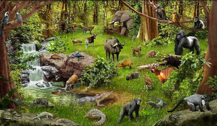 Лесные обитатели. Художник adrian chesterman. Жители леса. Звери в лесу. Дикие животные леса.