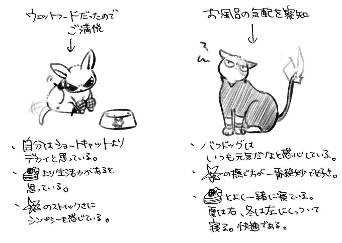 同棲爆轟と🐕🐈の関係性 
