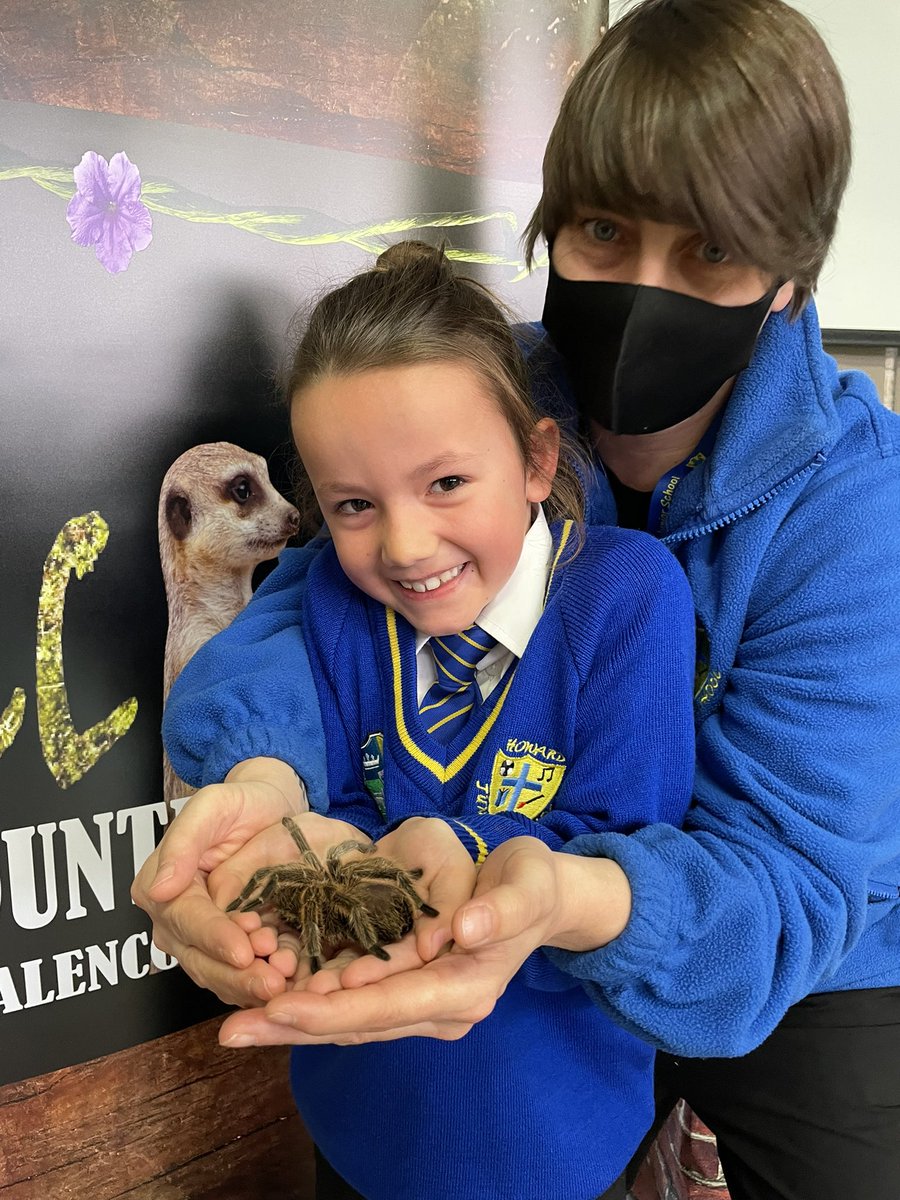 blowers2016's tweet photo. This pupil was brave enough to conquer a fear and hold a tarantula. Very well done. @HowardJuniorSch @AspireSuite @Twiggles3K https://t.co/JcYzwKsQc8