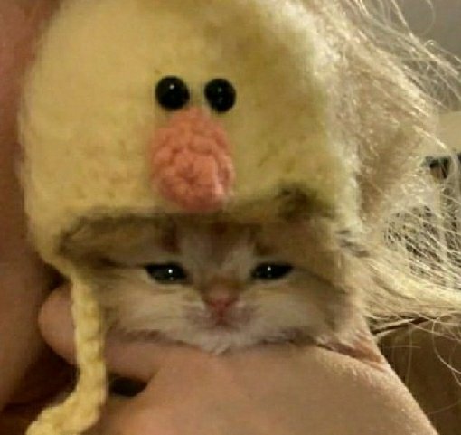 Yo viendo que Juan Higalgo era malo y nuestro sugar estaba modo pushi : 
#ATravesDeMiVentana