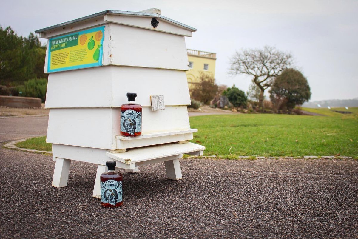 We are delighted to support <a href="/walesbotanic/">🏴󠁧󠁢󠁷󠁬󠁳󠁿 Gardd Cymru 🌿 Garden of Wales</a> pollinator research project with sales of <a href="/MorLadronRum/">Môr-Ladron Rum</a> 🐝 

Andrew and Dafydd went along to see the fantastic work they do 🐝

Link to blog in bio 👆🏻🐝

#nationalbotanicgardenofwales #pollinators #bees #pollinatorresearch