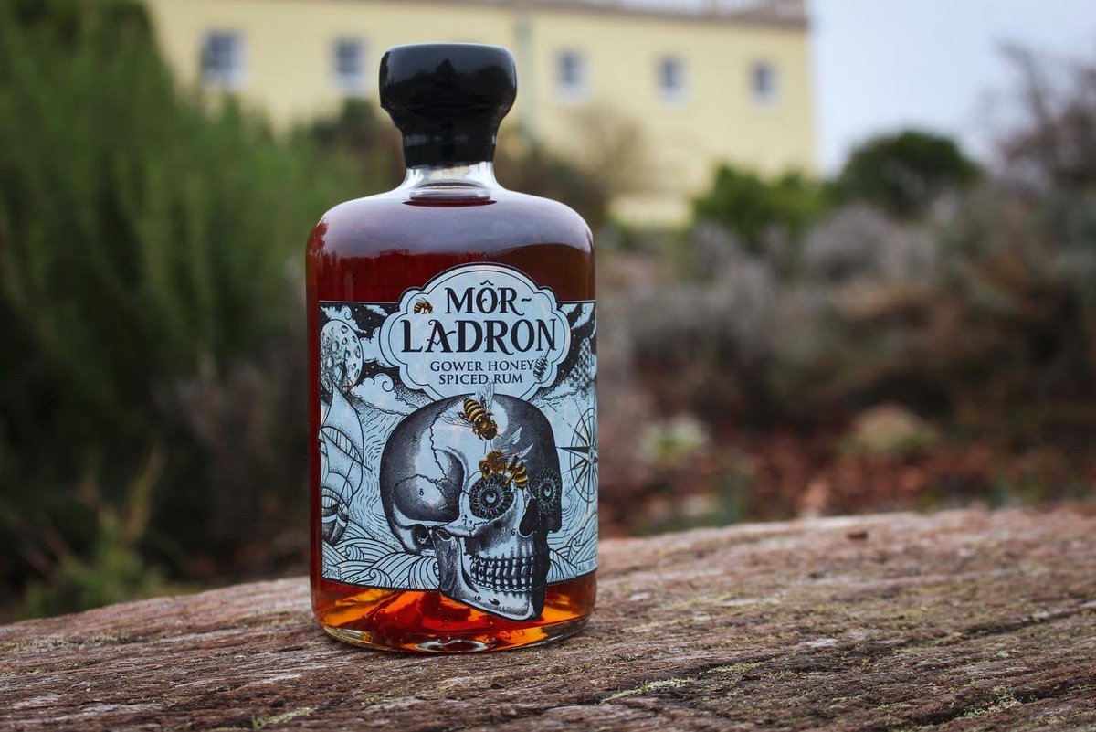GowerGinCompany's tweet photo. We are delighted to support @walesbotanic pollinator research project with sales of @MorLadronRum 🐝 

Andrew and Dafydd went along to see the fantastic work they do 🐝

Link to blog in bio 👆🏻🐝

#nationalbotanicgardenofwales #pollinators #bees #pollinatorresearch https://t.co/4nFmoBetbD
