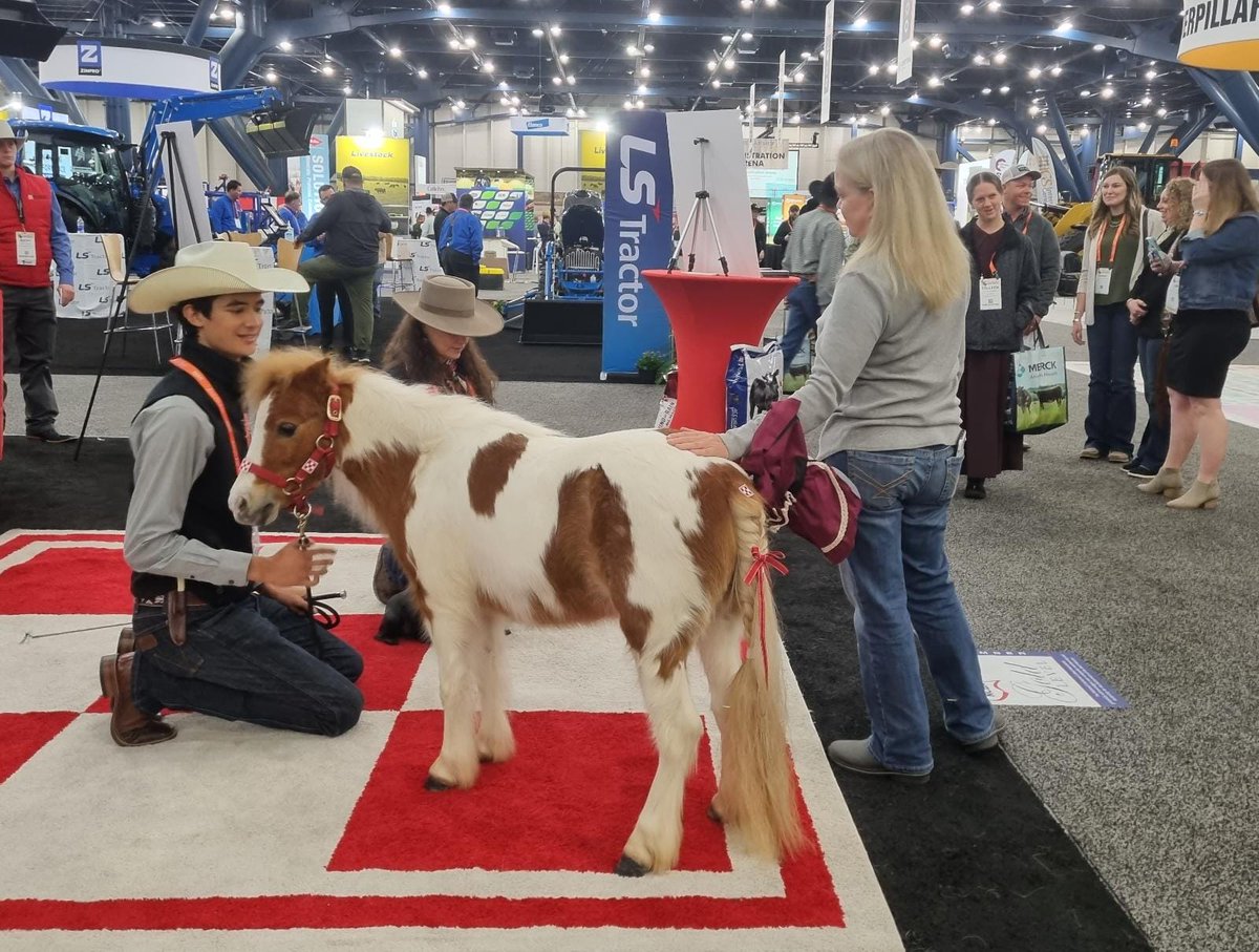 PaulRyanAglive's tweet photo. Awesome experience at #CattleCon22!
For the final day of the conference, Aglive's team got busy bridging alliances for 2022, as well as attended insightful ranch how-to sessions.
https://t.co/d2JUomyd82
#cattlecon #cattle #cattleindustry #DNAscience https://t.co/HF50vLgsU7
