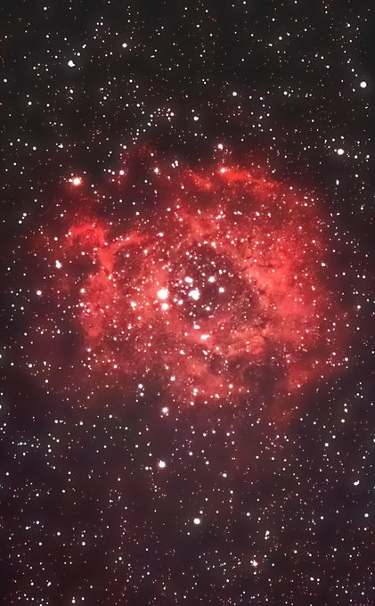 先日の電子観望データ加工。
ばら星雲と同条件で撮影したプレアデス星団も添えて。
FMA135+NeptuneCⅡ+CBPフィルターで16秒×100枚スタック 