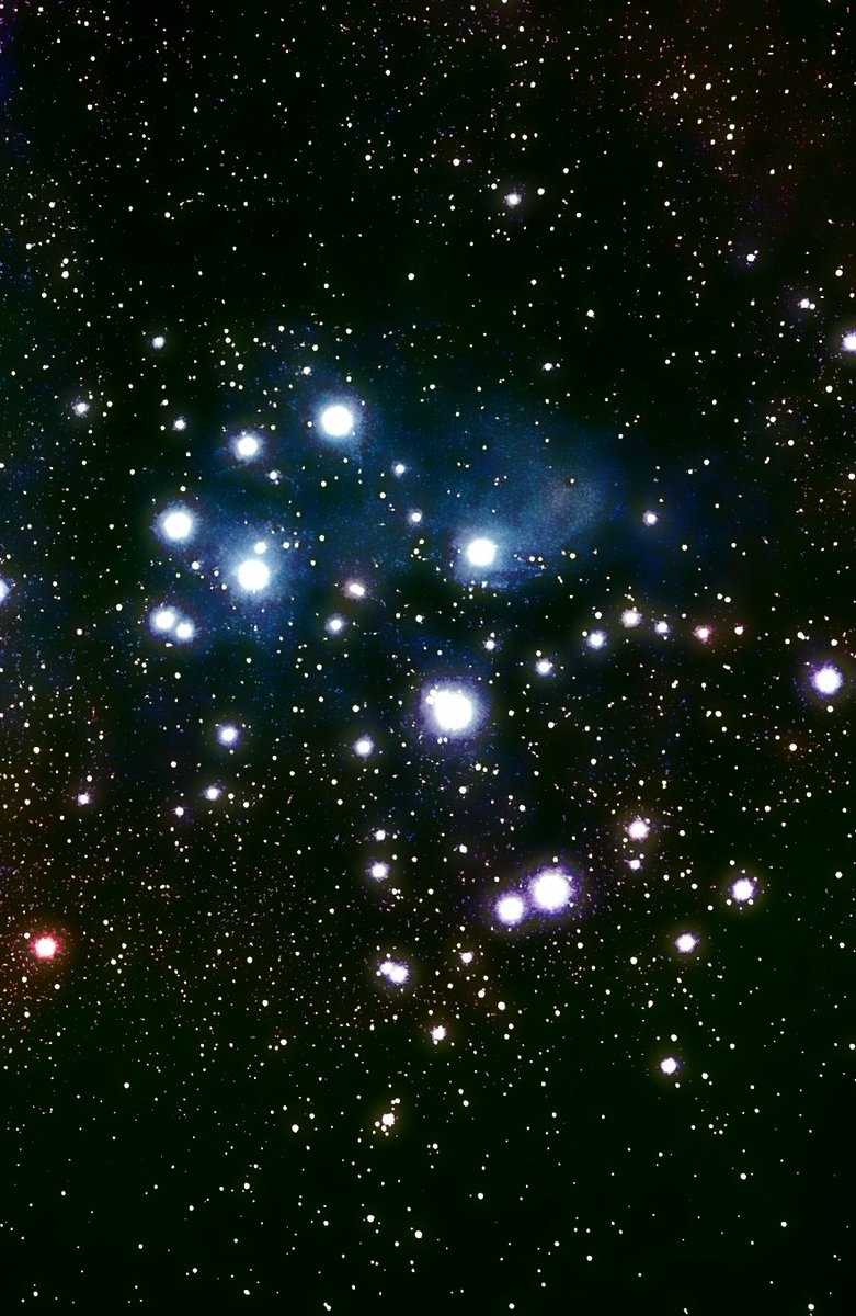 「先日の電子観望データ加工。
ばら星雲と同条件で撮影したプレアデス星団も添えて。
」|琴義弓介のイラスト