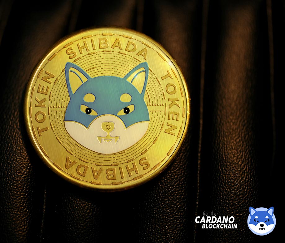 Shibada Token ($SHIBADA) tweet media