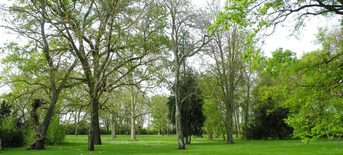 Veg Gap (@veggapbo) on Twitter photo 🌳Two million euros from the Ministry of Ecological Transition to finance 5 projects of the Metropolitan City of Bologna. Green corridors, wooded belts, woods and tree-lined meadows are foreseen. bit.ly/3orG2QL <a href="/cittametrobo/">CittàmetroBologna</a> #urbangreen #green #AirQuality 🌳Two million euros from the Ministry of Ecological Transition to finance 5 projects of the Metropolitan City of Bologna. Green corridors, wooded belts, woods and tree-lined meadows are foreseen. bit.ly/3orG2QL <a href="/cittametrobo/">CittàmetroBologna</a> #urbangreen #green #AirQuality