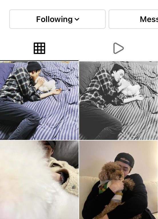 sehun's puppystagram