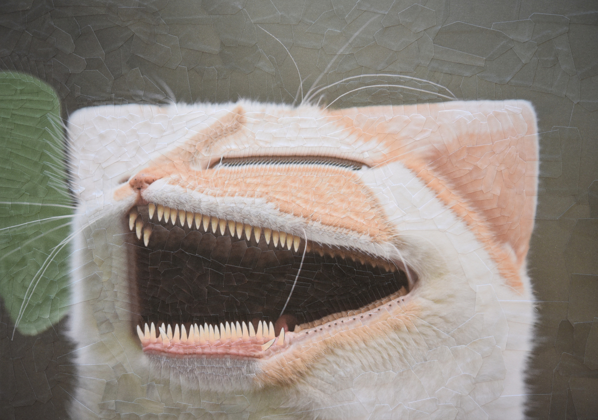 Charlie on <a href="/objktcom/">objkt</a>  
❤️
Edition of 10, 8 tez 
Edition of 1, 45 tez
-
objkt.com/profile/tz1Q3P…