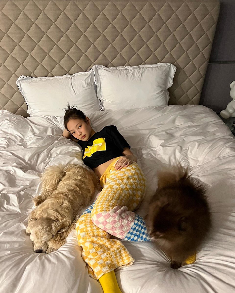 jennie tweet media