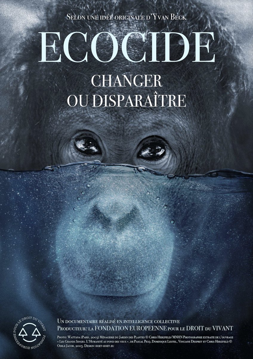 Céline Tellier 🌎🌻 tweet media