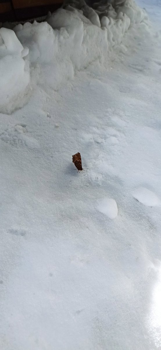 sp77✈️🚀 tweet media