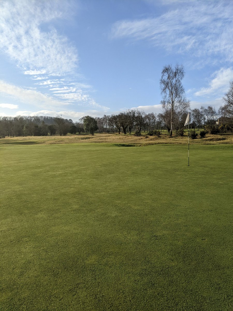 Mark Nelson tweet media